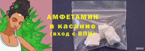 ГАЛЛЮЦИНОГЕННЫЕ ГРИБЫ Бородино